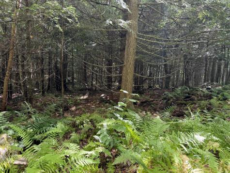 105 Poplar Point Road Mount Vernon ME 04352