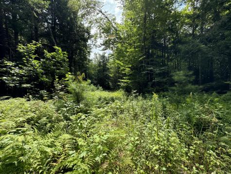 105 Poplar Point Road Mount Vernon ME 04352