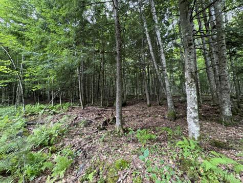 105 Poplar Point Road Mount Vernon ME 04352