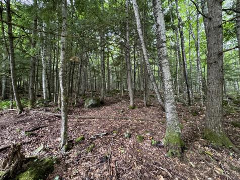 105 Poplar Point Road Mount Vernon ME 04352