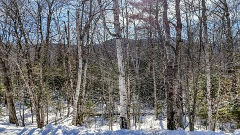 2032 Fox Hollow Road Carrabassett Valley ME 04947