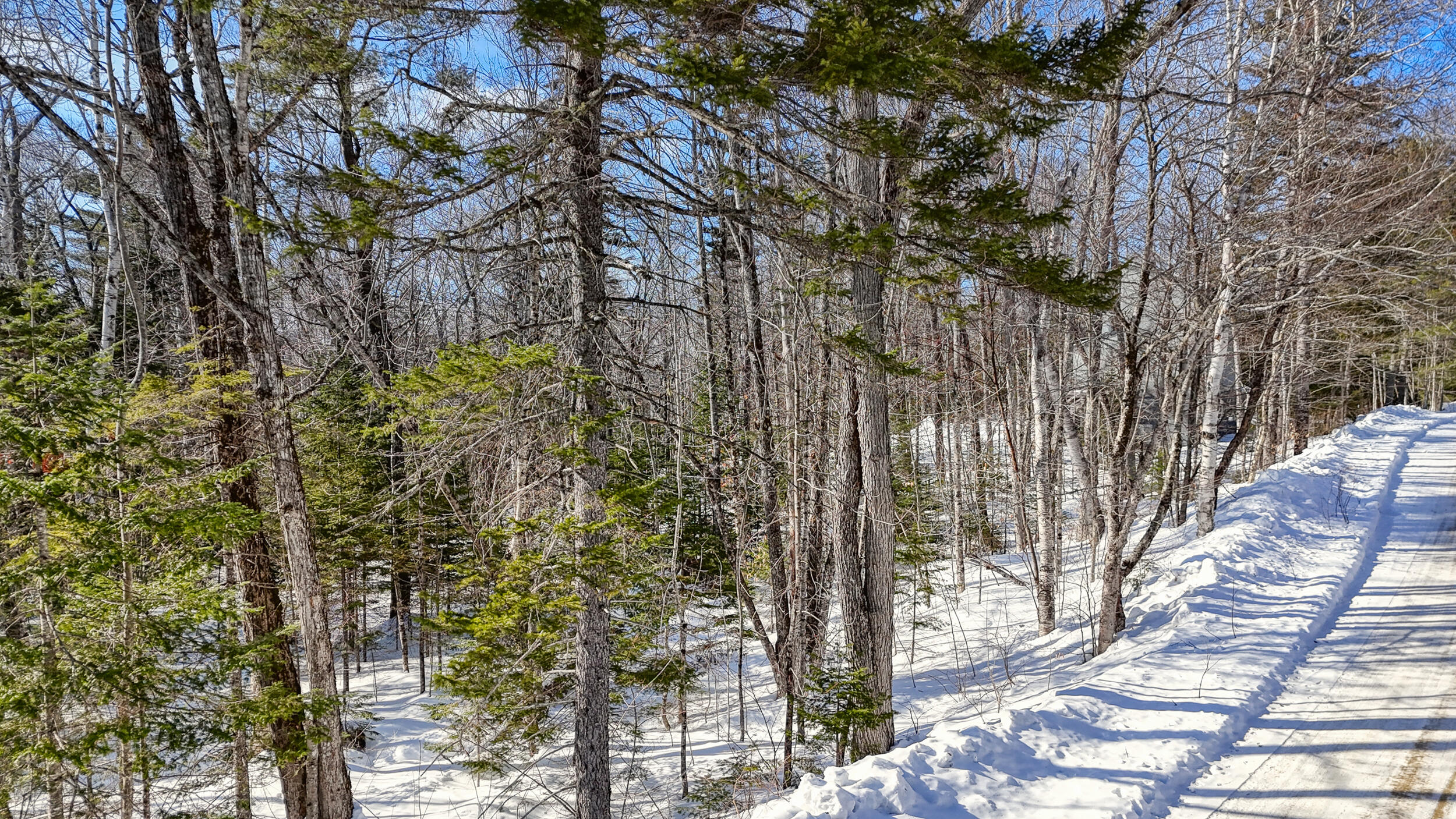 2032 Fox Hollow Road Carrabassett Valley ME 04947