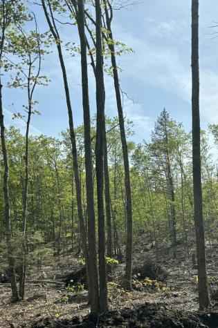 Lot 55-a Ford Quint Road North Berwick ME 03906