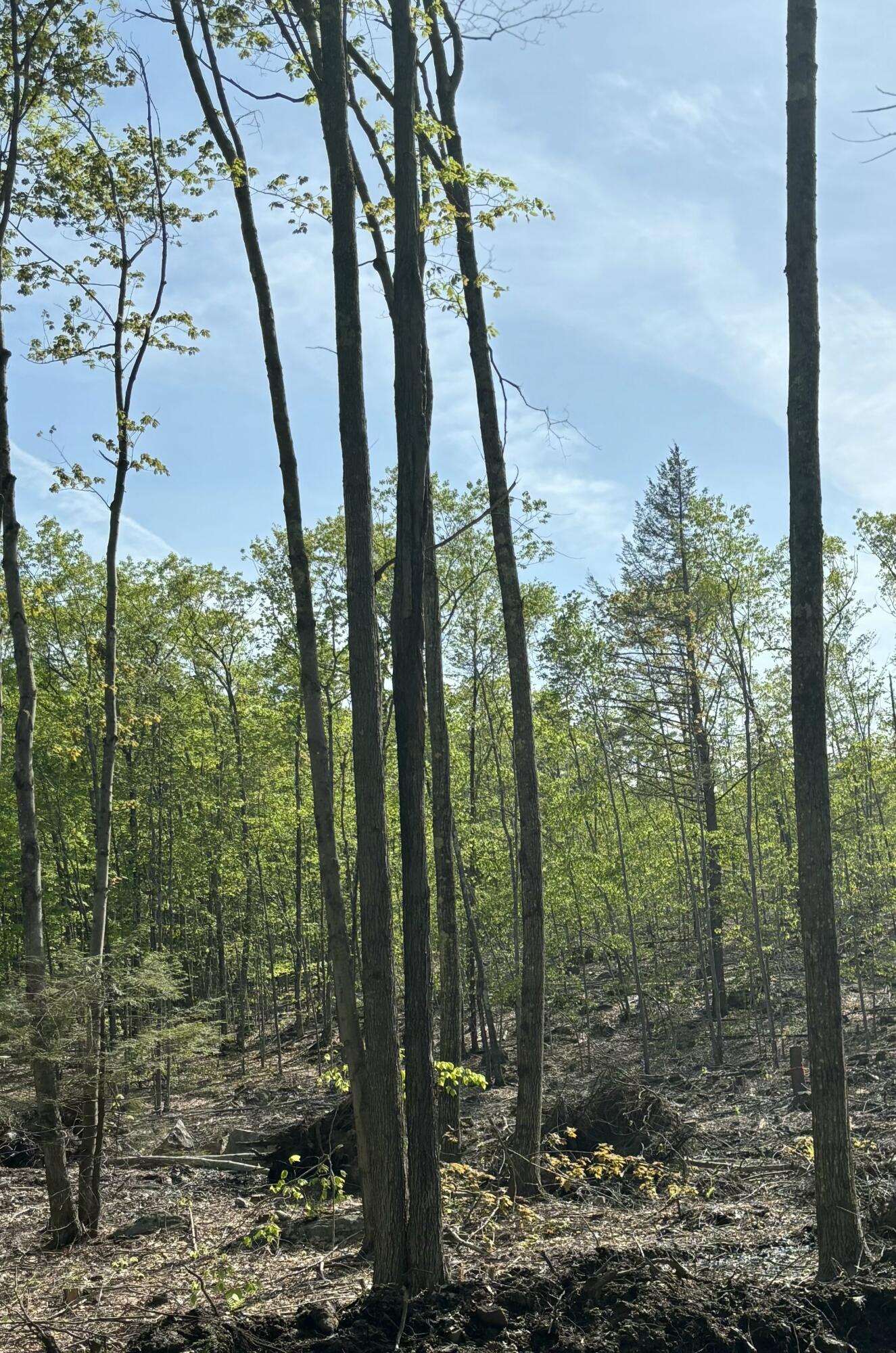 Lot 55-a Ford Quint Road North Berwick ME 03906