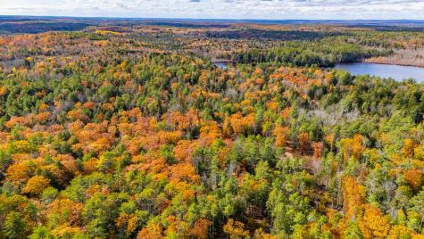 Lot 15 Gibbs Road Wiscasset ME 04578
