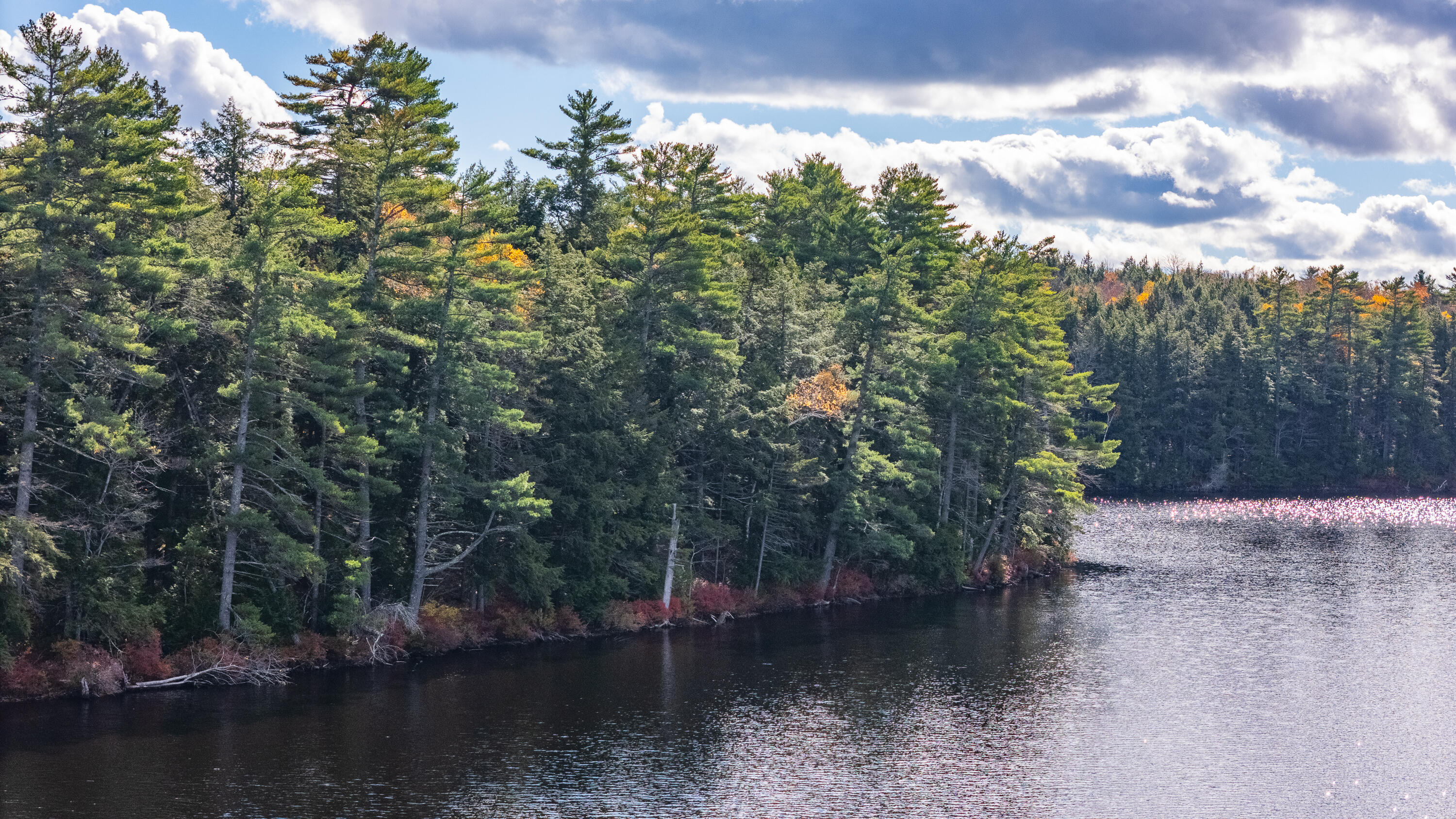 Lot 15 Gibbs Road Wiscasset ME 04578