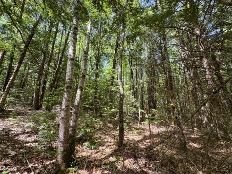 M10l8 Stub Marsh Road North Berwick ME 03906