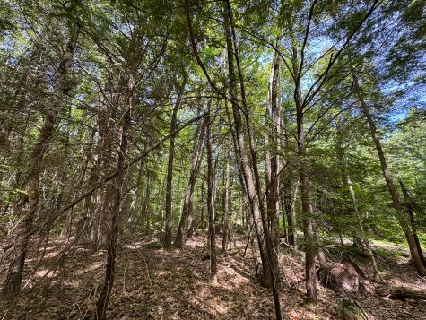 M10l8 Stub Marsh Road North Berwick ME 03906