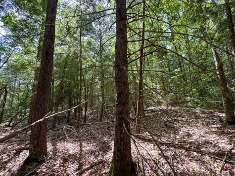 M10l8 Stub Marsh Road North Berwick ME 03906