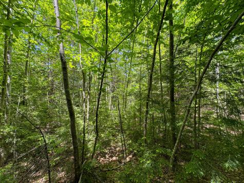 M10l8 Stub Marsh Road North Berwick ME 03906