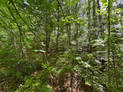 M10l8 Stub Marsh Road North Berwick ME 03906