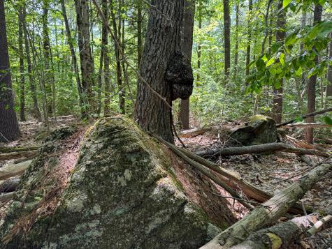 M10l8 Stub Marsh Road North Berwick ME 03906