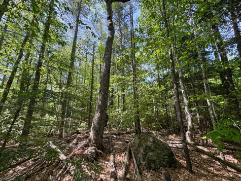 M10l8 Stub Marsh Road North Berwick ME 03906