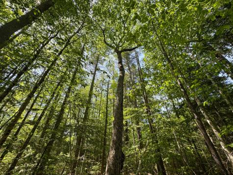 M10l8 Stub Marsh Road North Berwick ME 03906