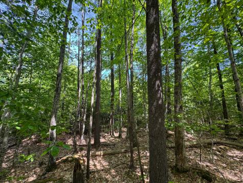 M10l8 Stub Marsh Road North Berwick ME 03906