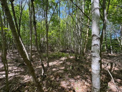 M10l8 Stub Marsh Road North Berwick ME 03906