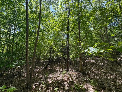 M10l8 Stub Marsh Road North Berwick ME 03906