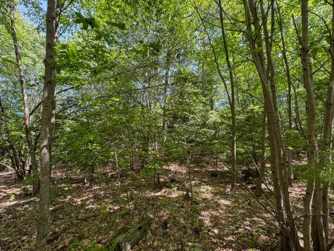 M10l8 Stub Marsh Road North Berwick ME 03906