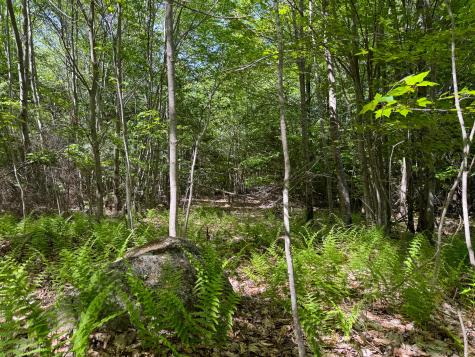 M10l8 Stub Marsh Road North Berwick ME 03906