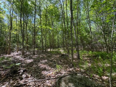 M10l8 Stub Marsh Road North Berwick ME 03906