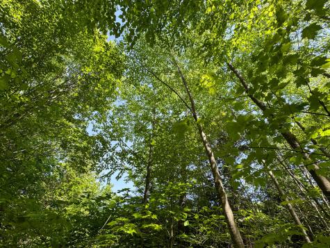 M10l8 Stub Marsh Road North Berwick ME 03906