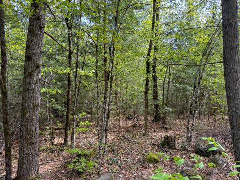 M10l8 Stub Marsh Road North Berwick ME 03906