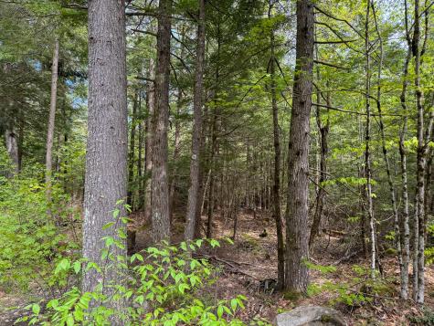 M10l8 Stub Marsh Road North Berwick ME 03906