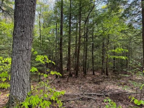 M10l8 Stub Marsh Road North Berwick ME 03906