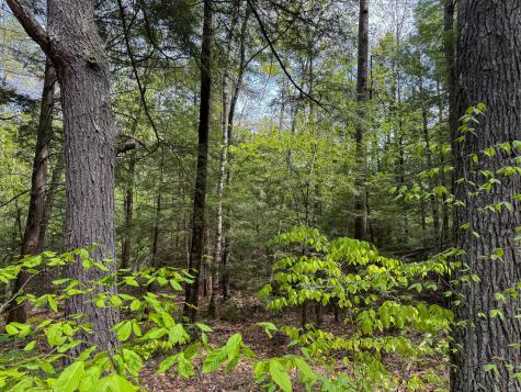 M10l8 Stub Marsh Road North Berwick ME 03906