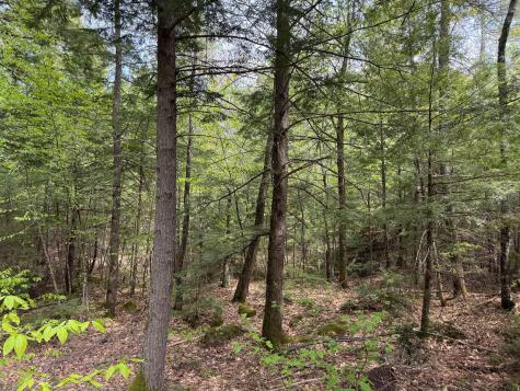 M10l8 Stub Marsh Road North Berwick ME 03906