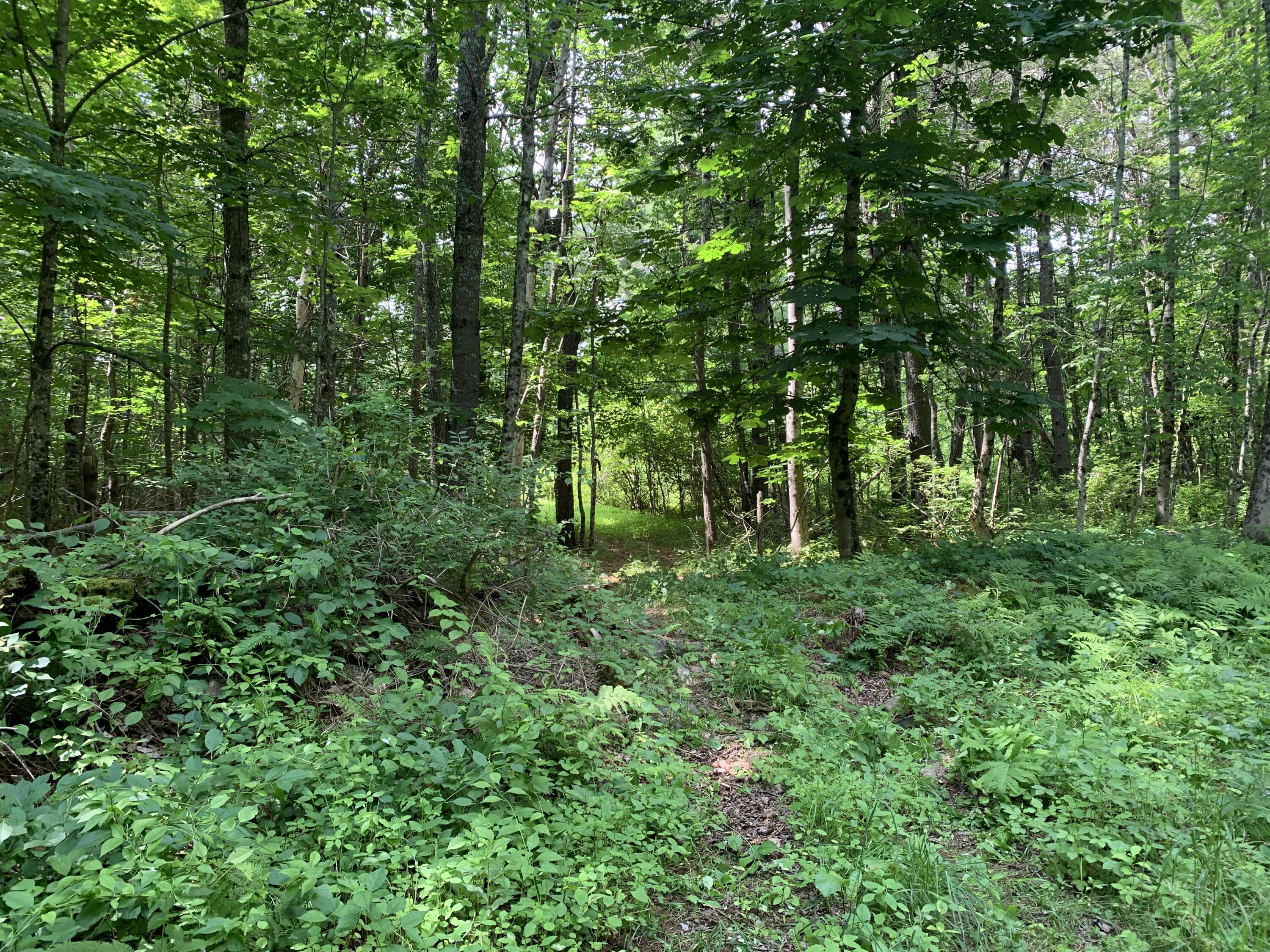Lot 12 Hallowell Road Litchfield ME 04350