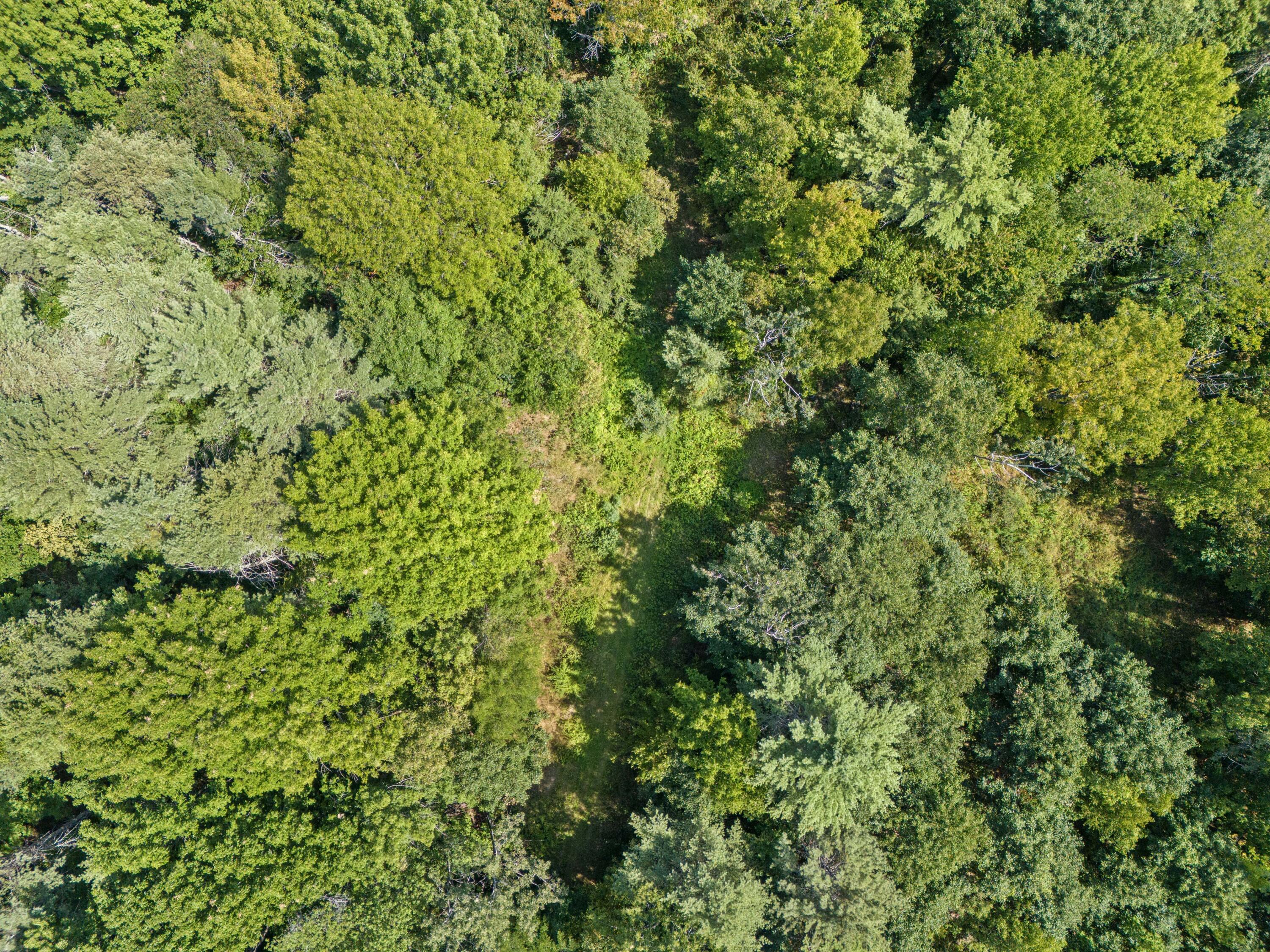 Lot 12 Hallowell Road Litchfield ME 04350