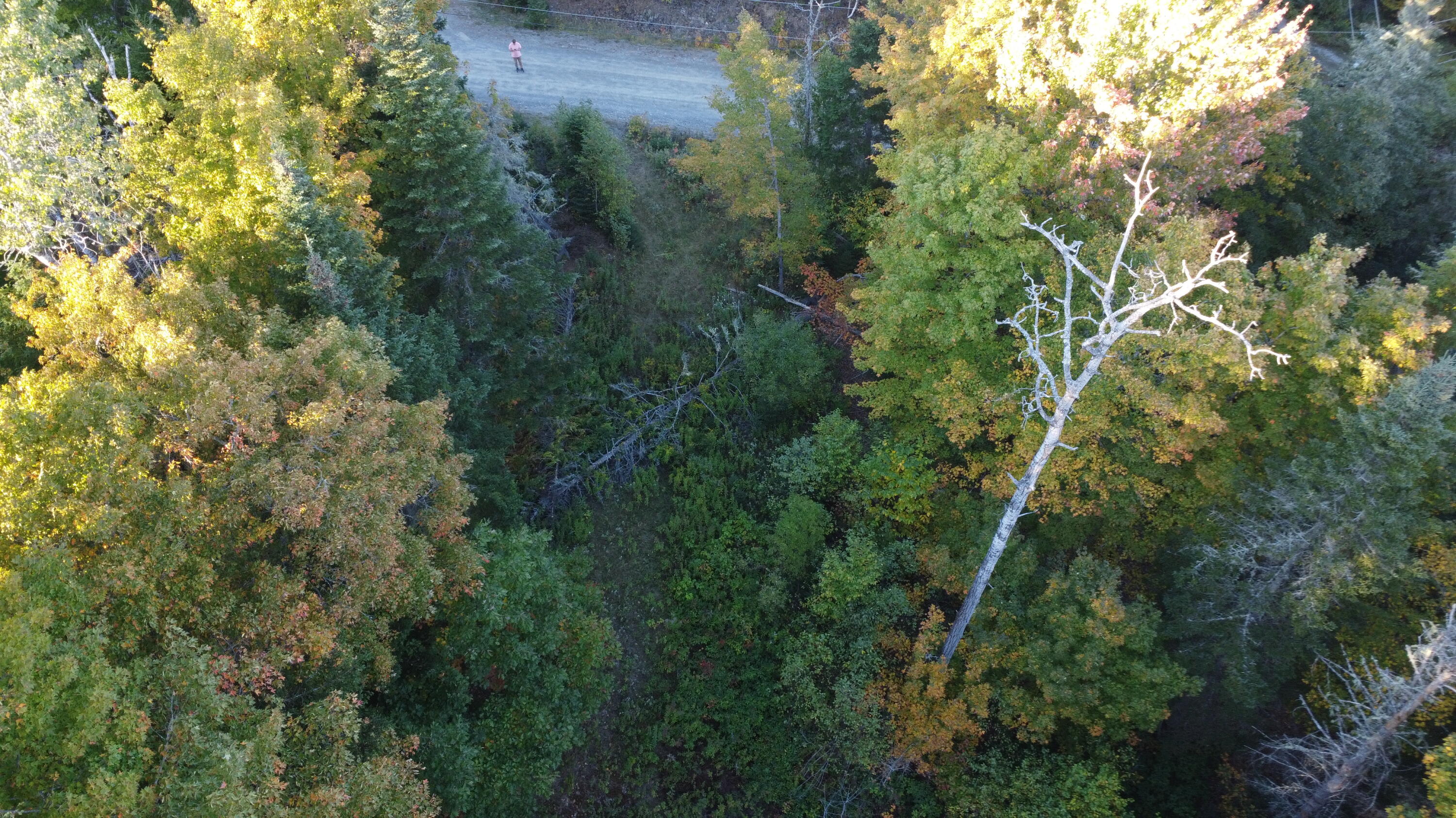 21 Quimby Farms Road Rangeley ME 04970