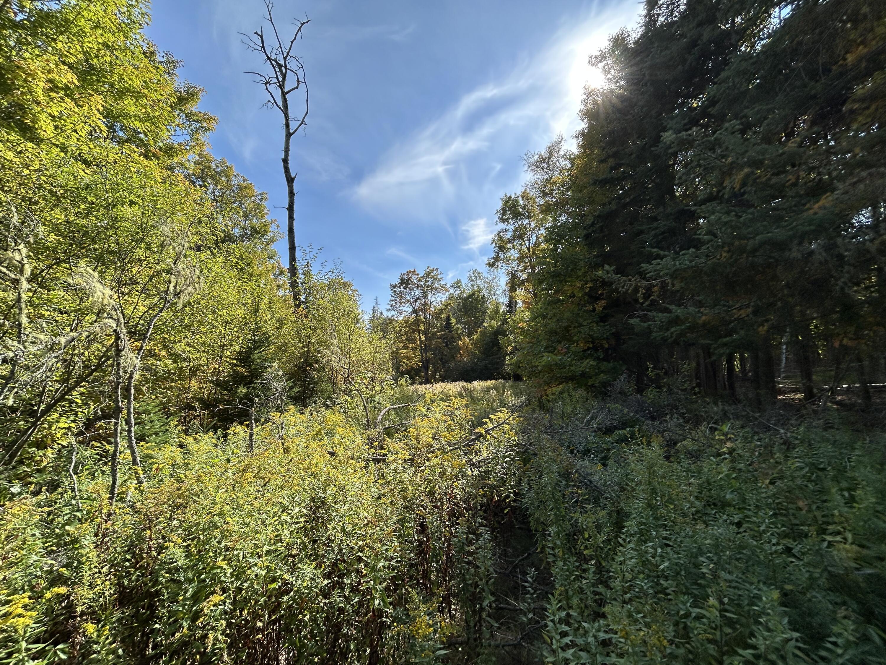 21 Quimby Farms Road Rangeley ME 04970