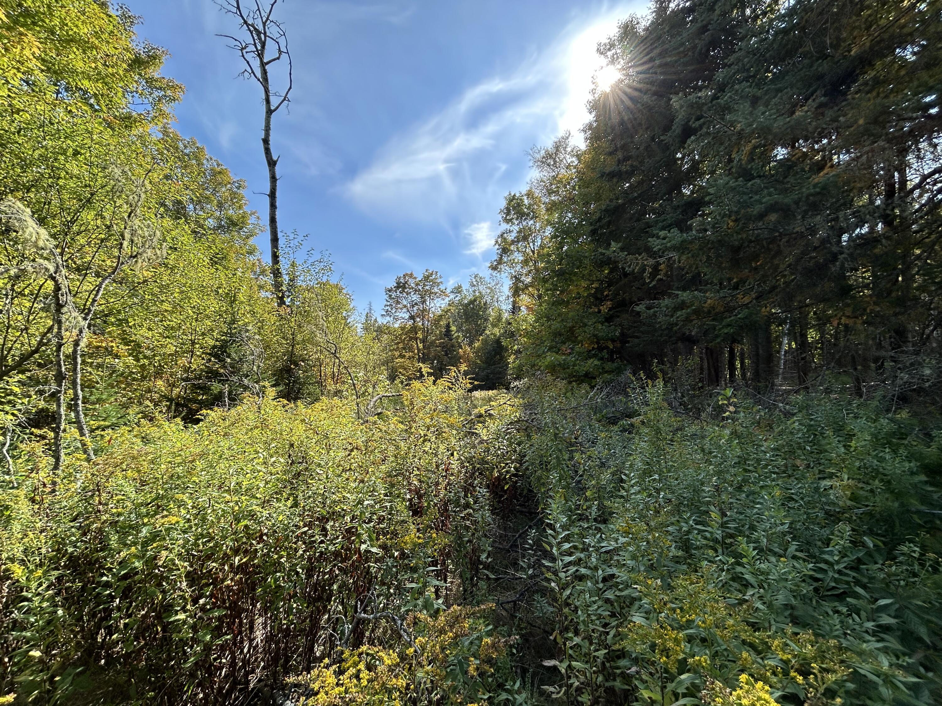 21 Quimby Farms Road Rangeley ME 04970