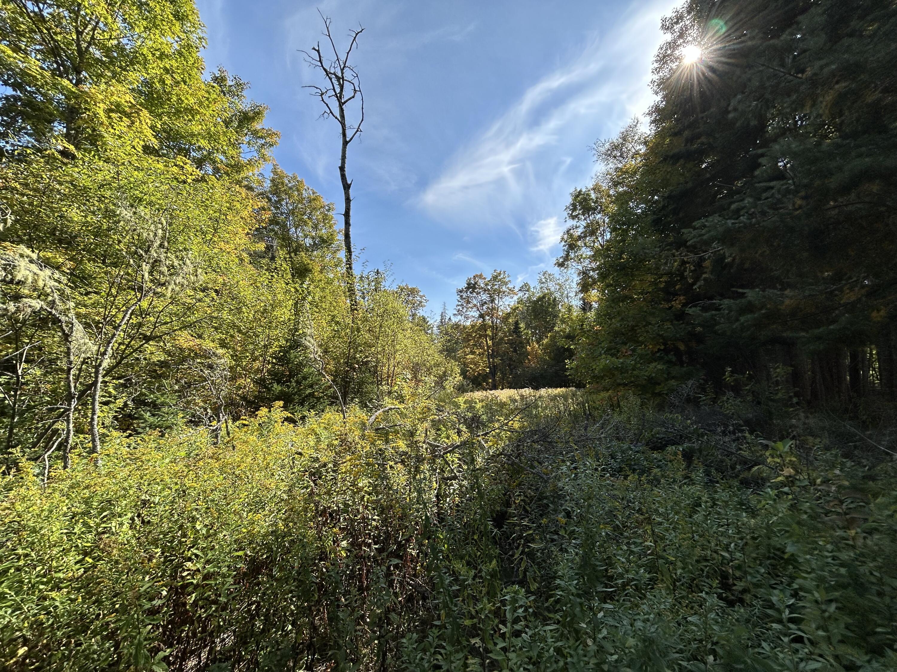 21 Quimby Farms Road Rangeley ME 04970