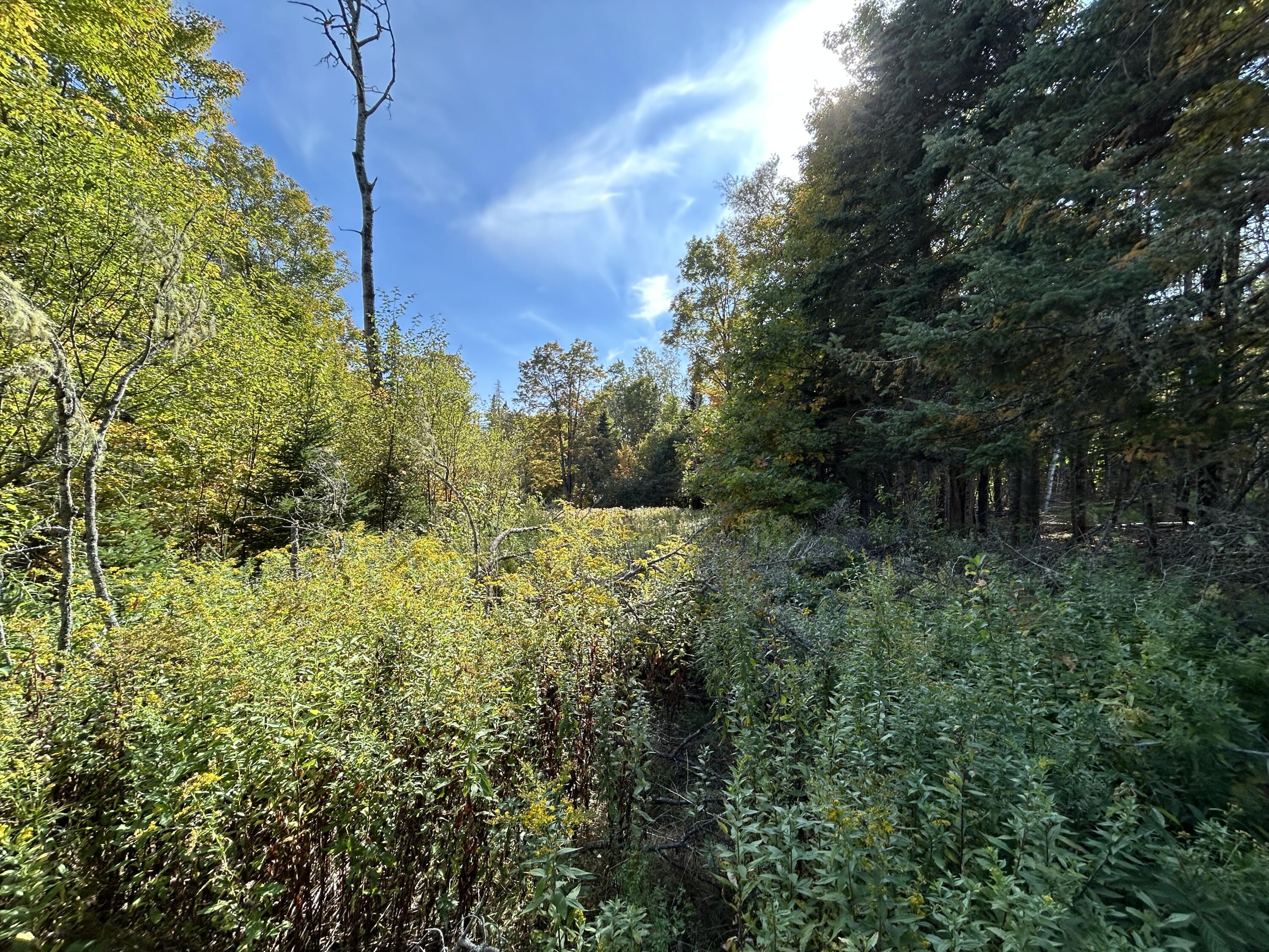 21 Quimby Farms Road Rangeley ME 04970