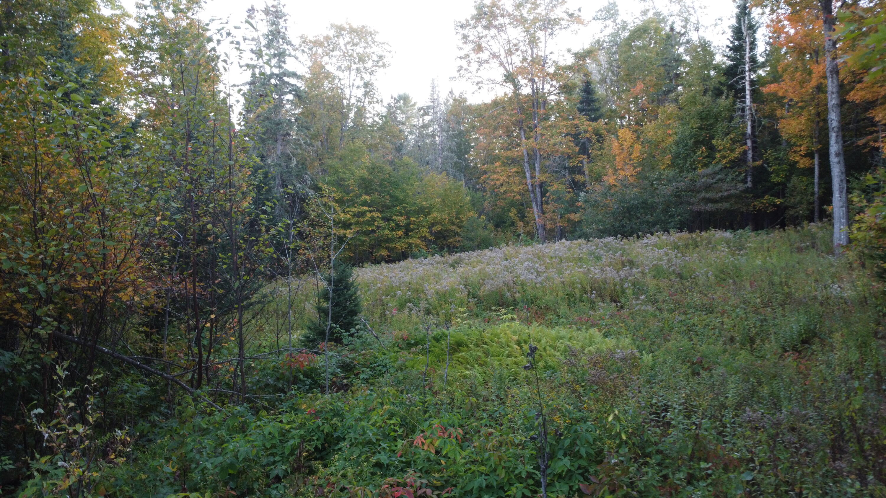 21 Quimby Farms Road Rangeley ME 04970