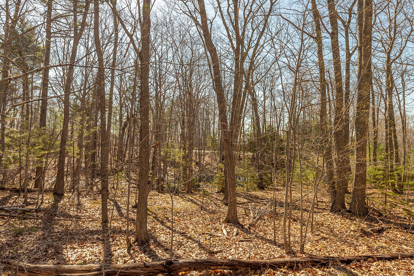 Lot 1 Bristol Drive Rockport ME 04856