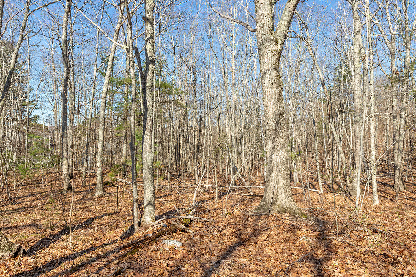 Lot 1 Bristol Drive Rockport ME 04856