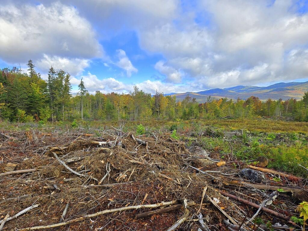 Lot 45 Tory Hill Road Phillips ME 04966