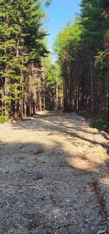 6 Wilderness Way Wesley ME 04686