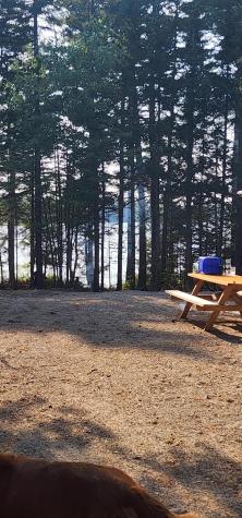 6 Wilderness Way Wesley ME 04686