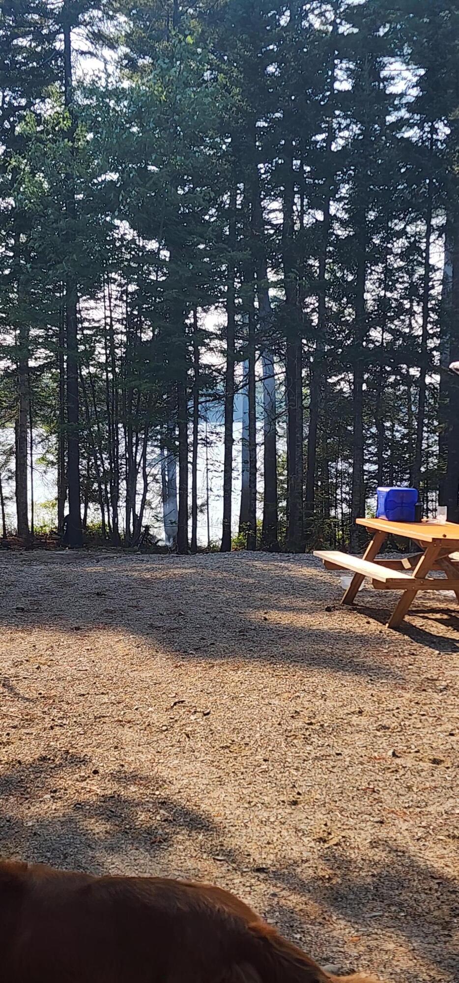 6 Wilderness Way Wesley ME 04686