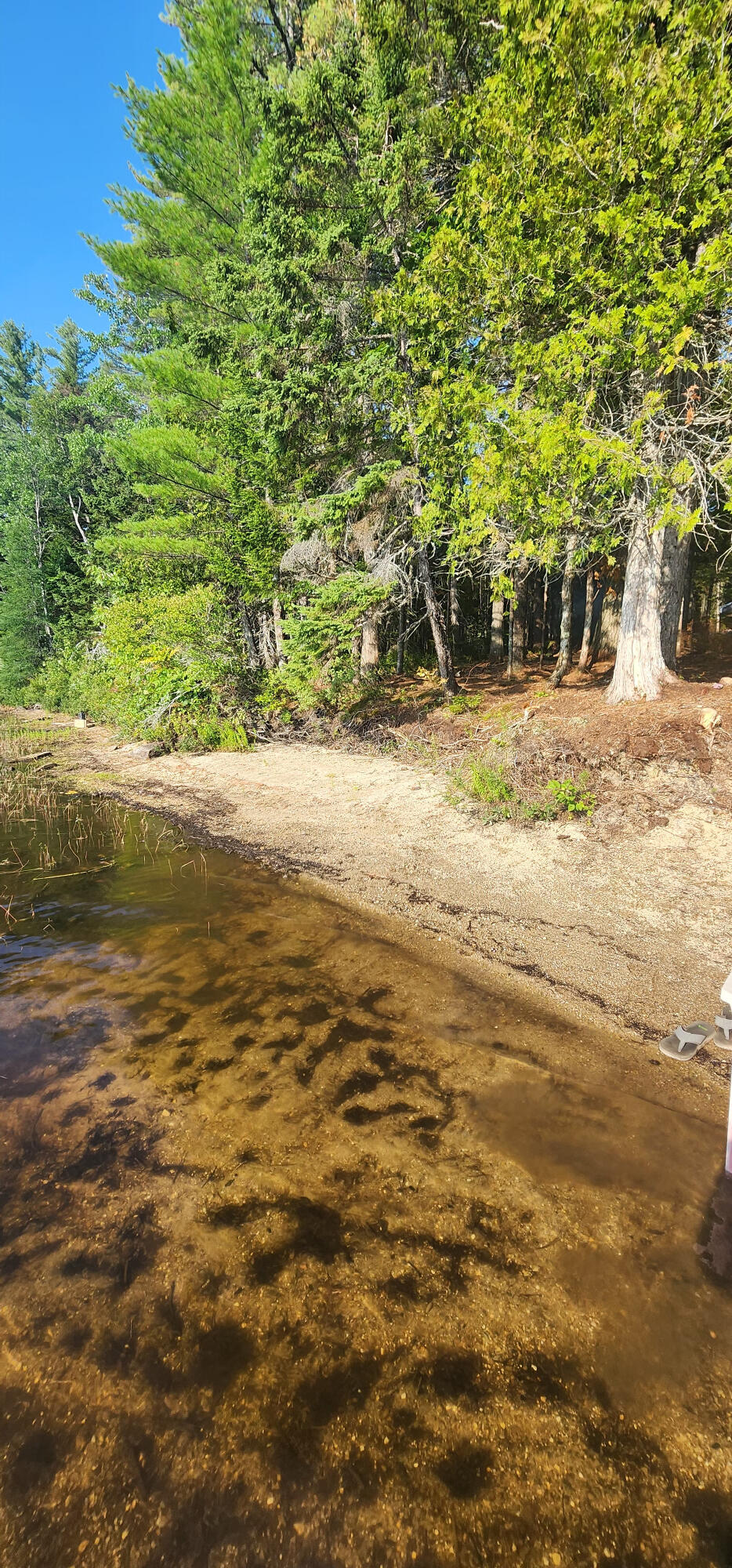 6 Wilderness Way Wesley ME 04686