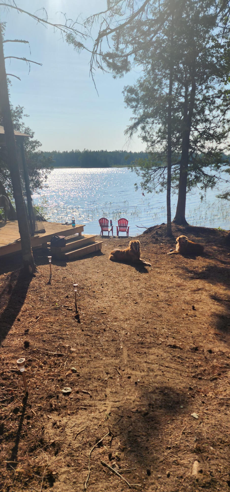 6 Wilderness Way Wesley ME 04686