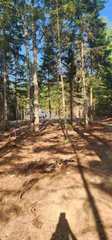 6 Wilderness Way Wesley ME 04686