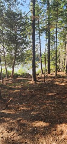 6 Wilderness Way Wesley ME 04686