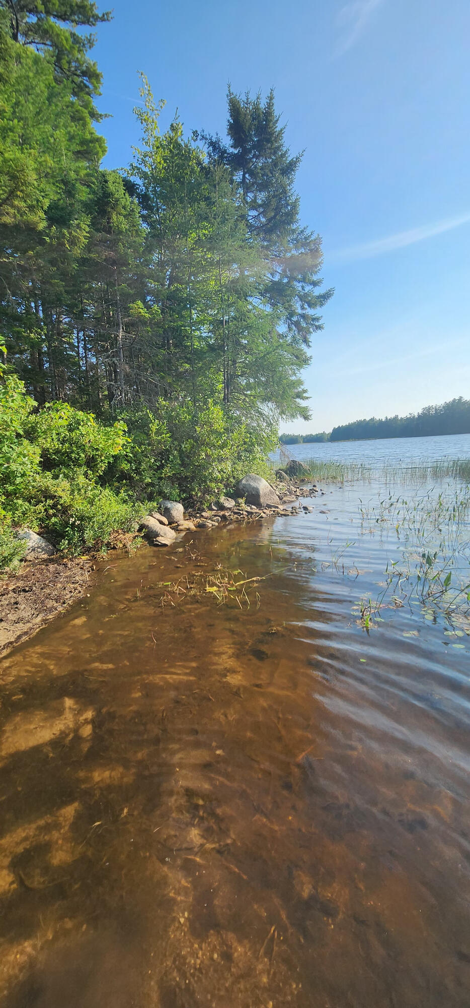 6 Wilderness Way Wesley ME 04686