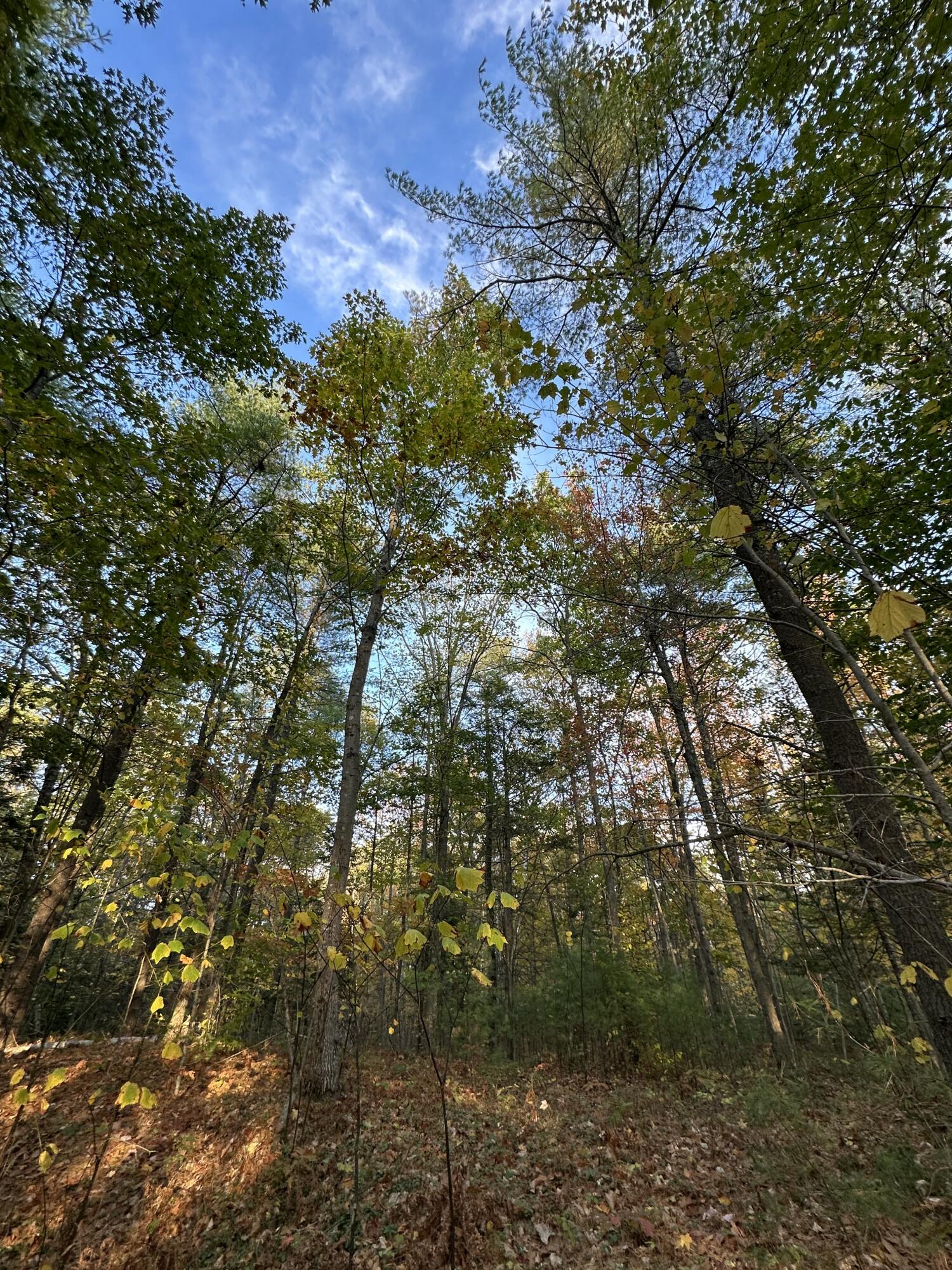 Lot # 4 South Street Freeport ME 04032